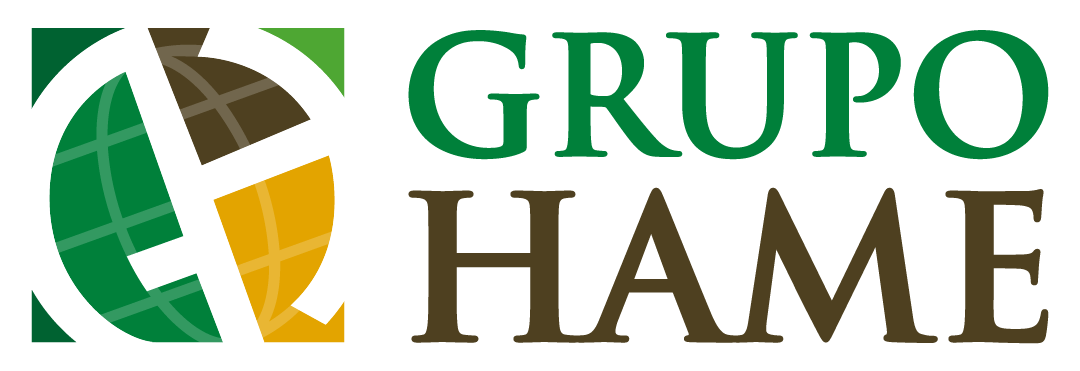 Grupo HAME